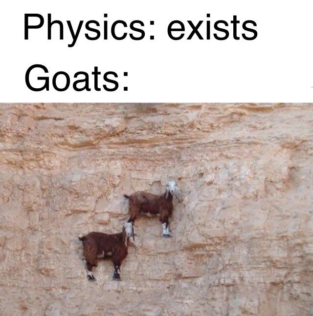 86995763.jpg