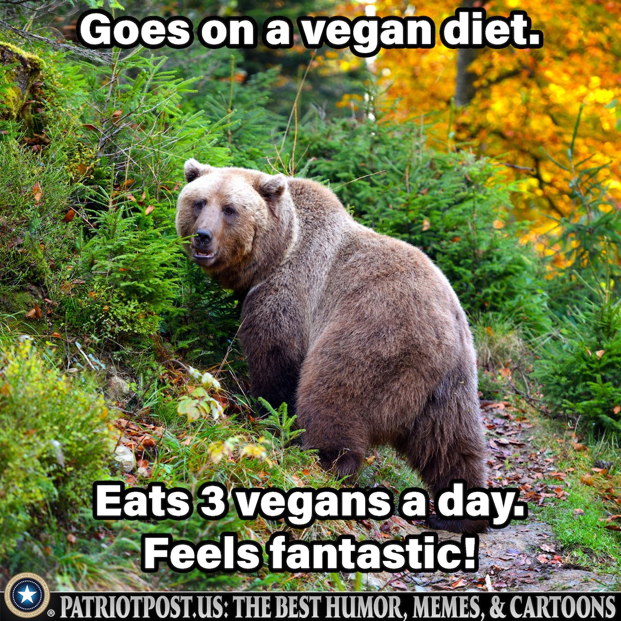 86C04A8C-8DF4-4740-B10C-3C6BC7E3A15C.jpeg
