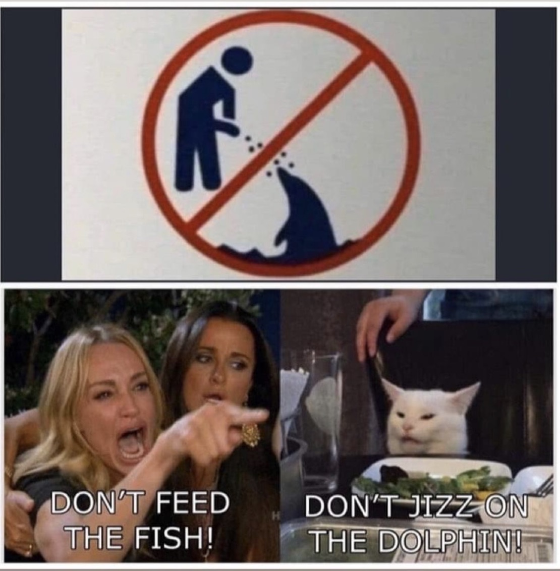 87076046.jpeg
