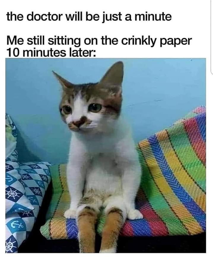 87079529.jpeg