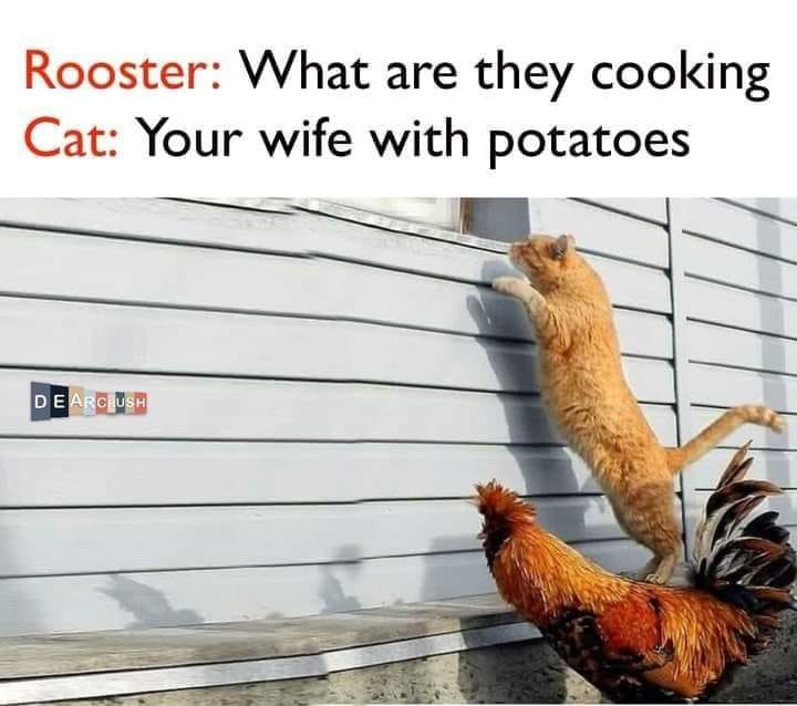 87104875.jpg