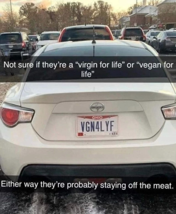 87119232.png