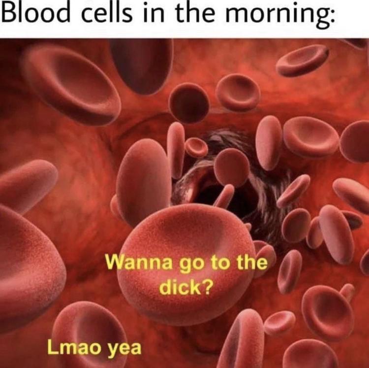 87151507.jpg