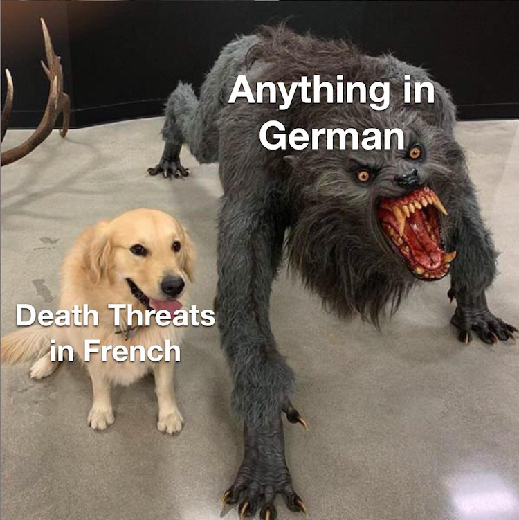 87166653.jpg
