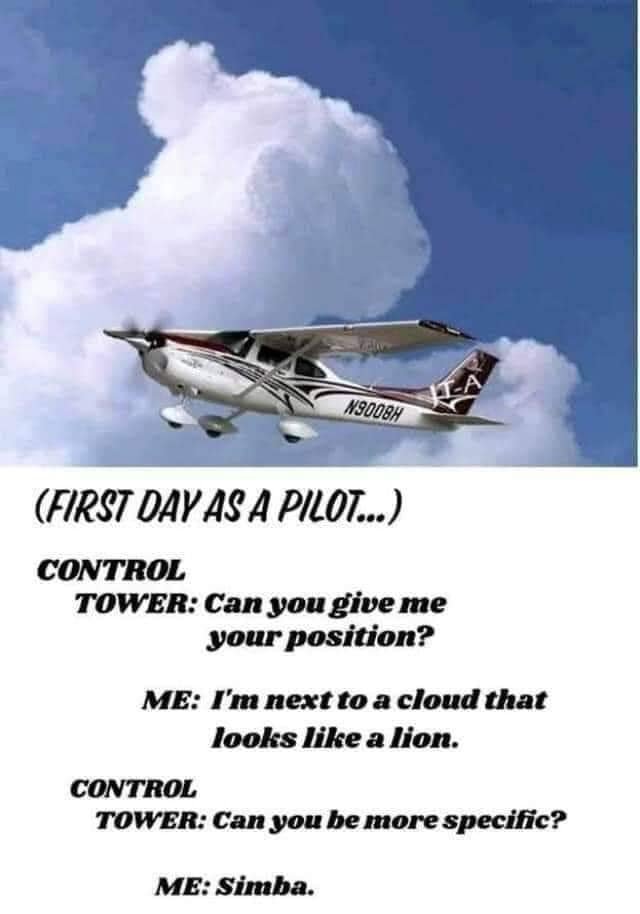 87187253.jpg