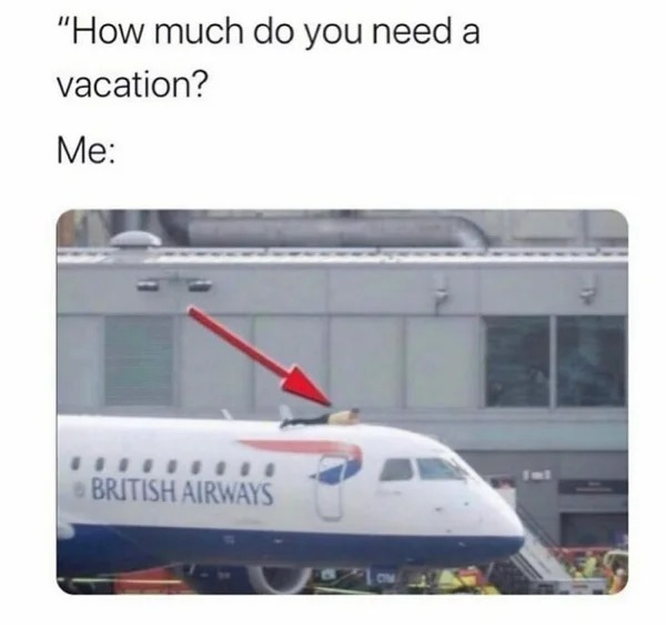 87254055.jpg