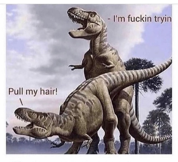 87260080.jpeg
