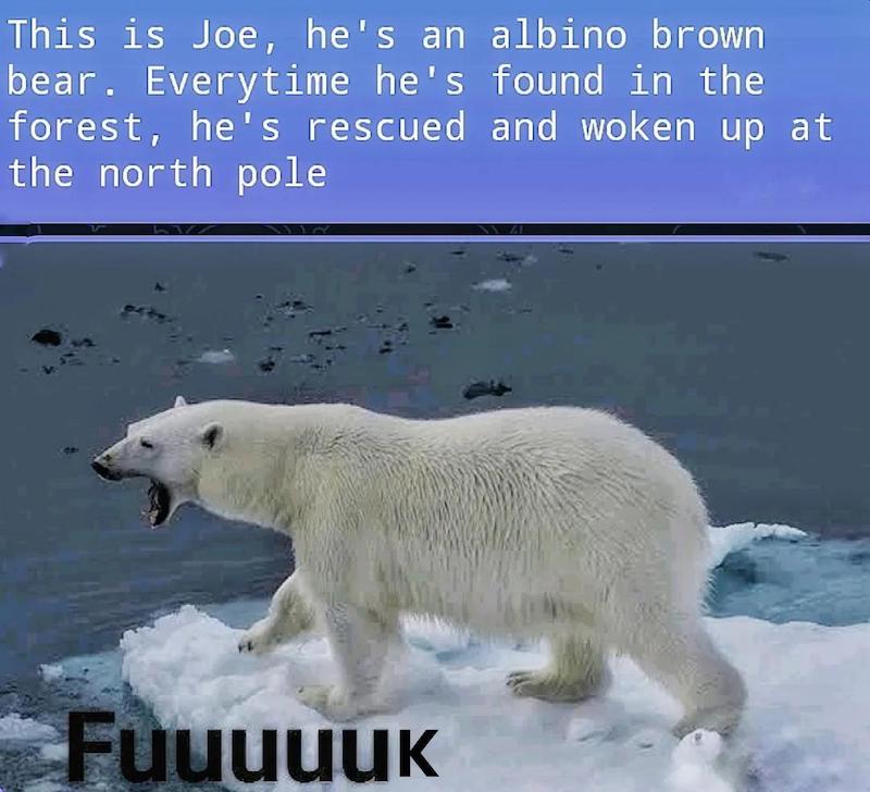 87269813.jpg