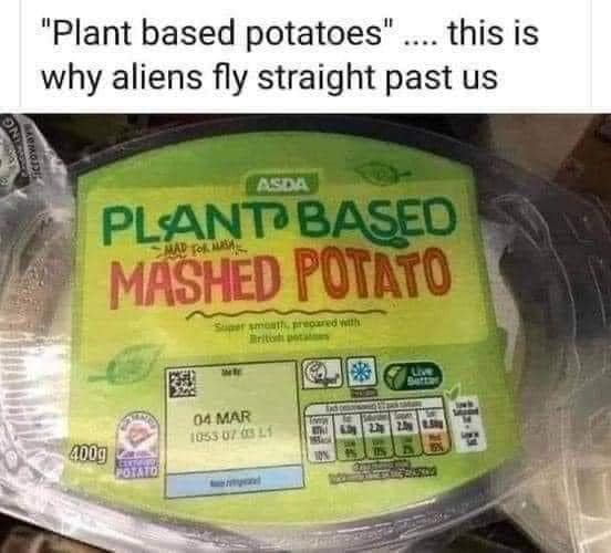 87281361.jpg