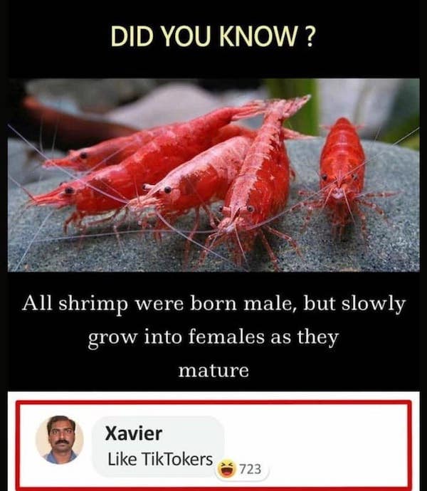 87283834.jpg