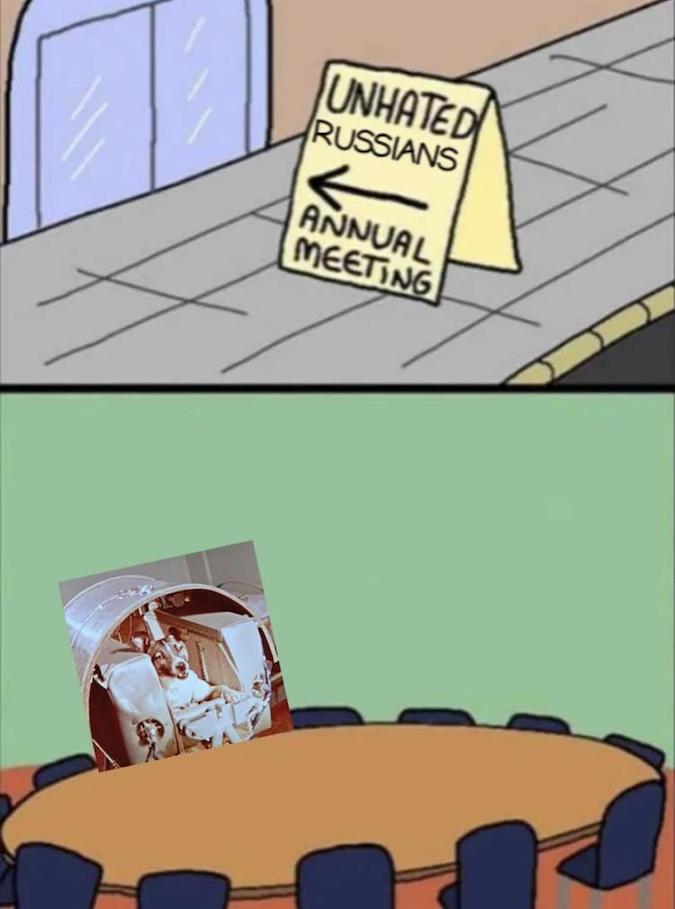 87297010.jpg
