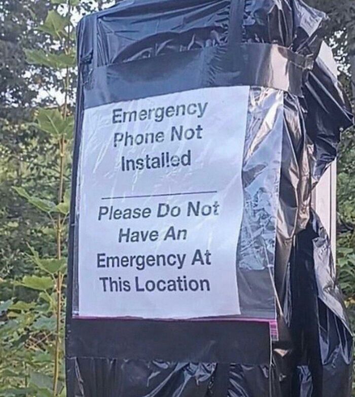 87299605.jpg