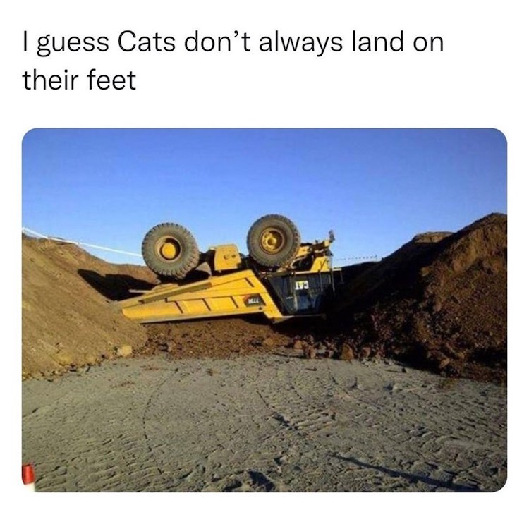 87336647.jpeg
