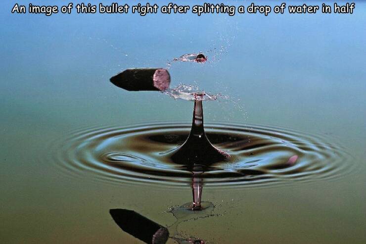87338537.jpg