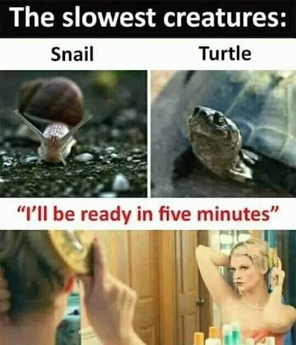 87341134.jpg