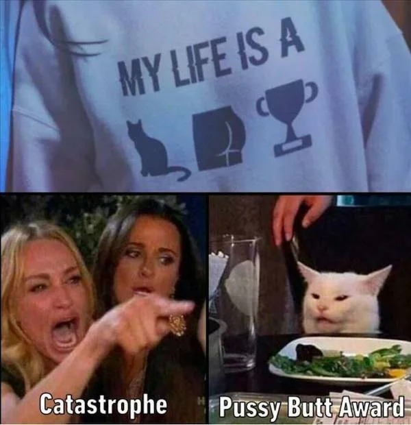87344480.jpg