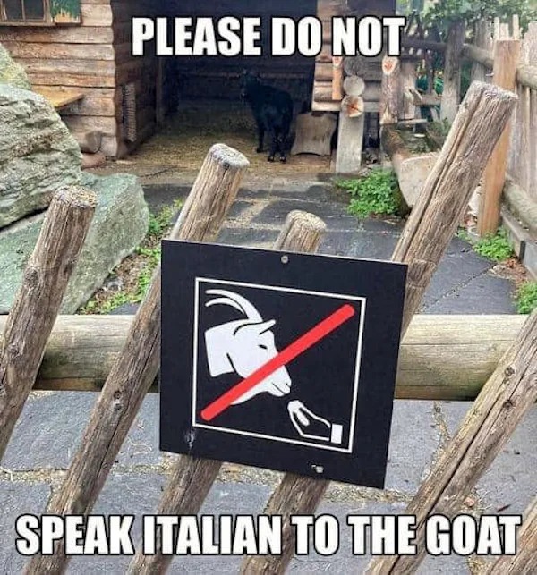 87365364.jpg