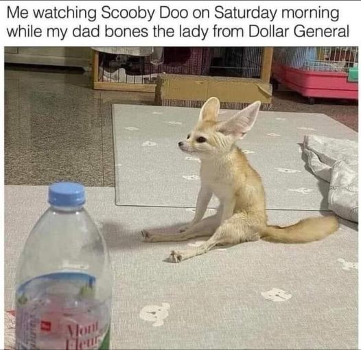 87374805.jpeg