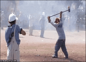 8738273A-D9A3-4BF9-ADF6-5328F7769D39.gif
