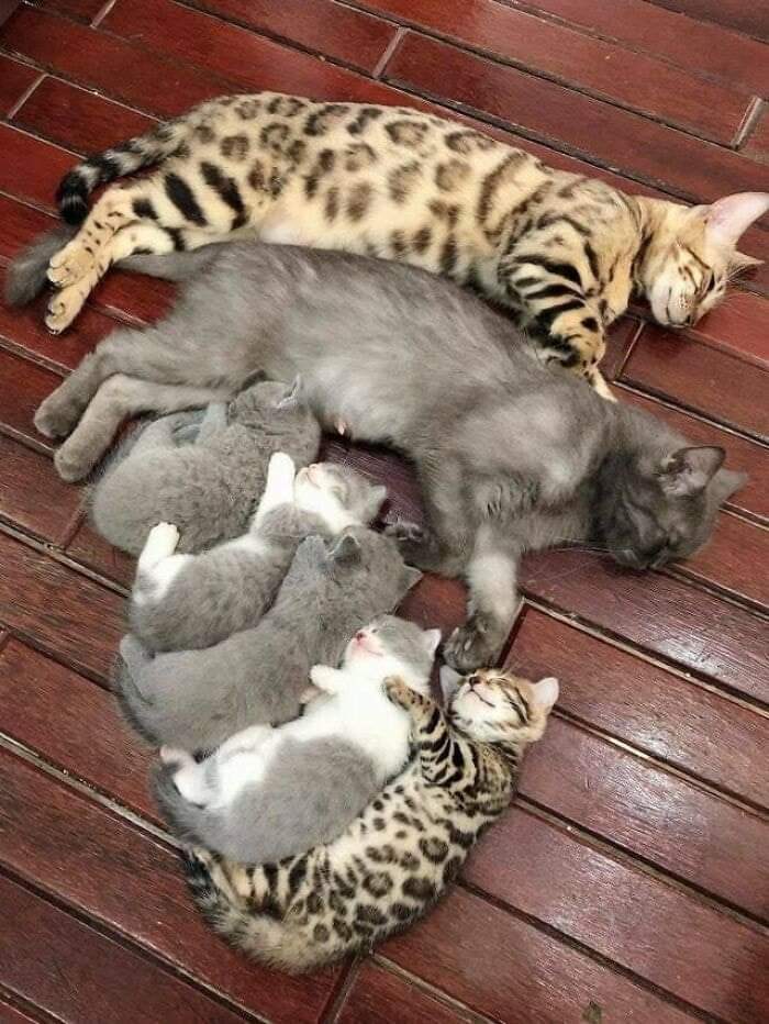 87382753.jpg