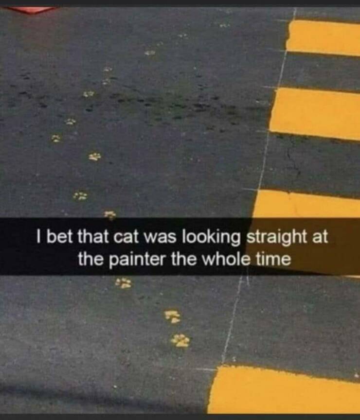 87385923.jpg
