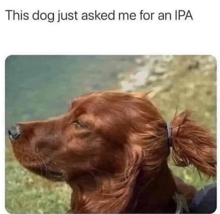 87386005.jpeg