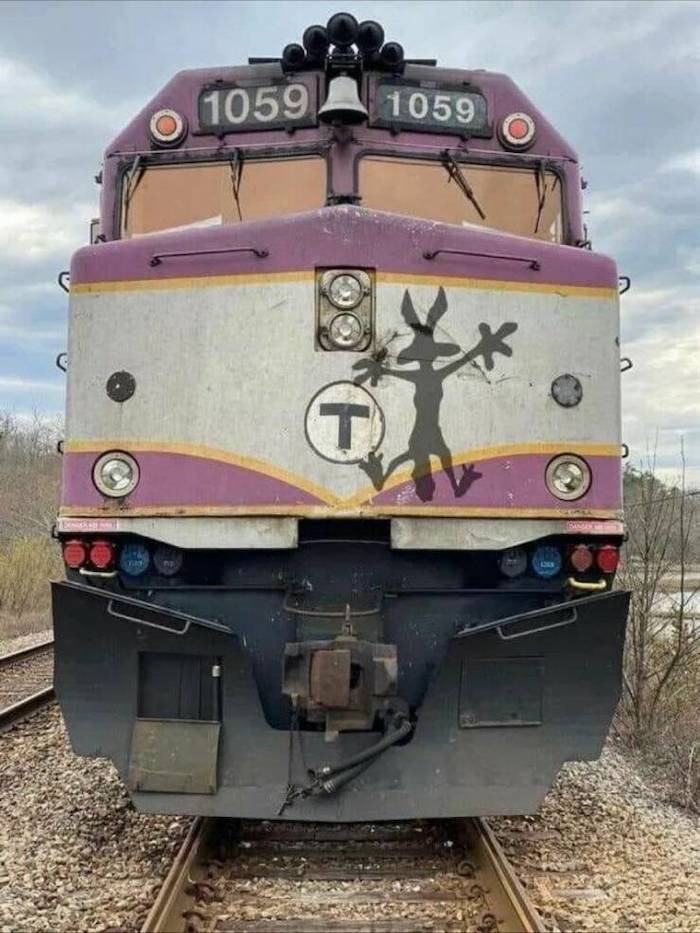87386385.jpg