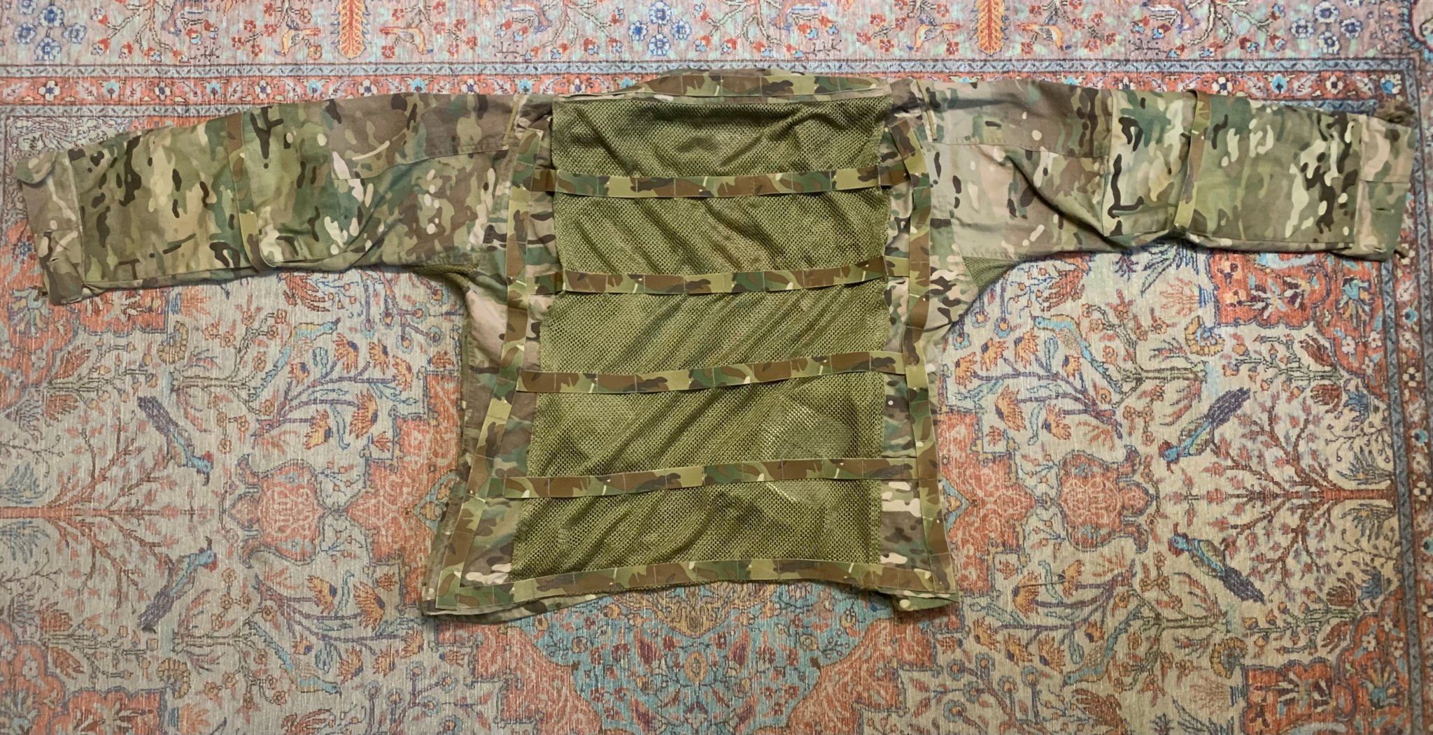 8743.jpg