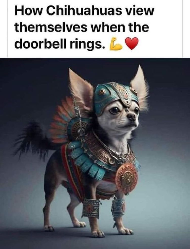 87443495.jpg