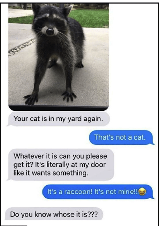 87443600.png