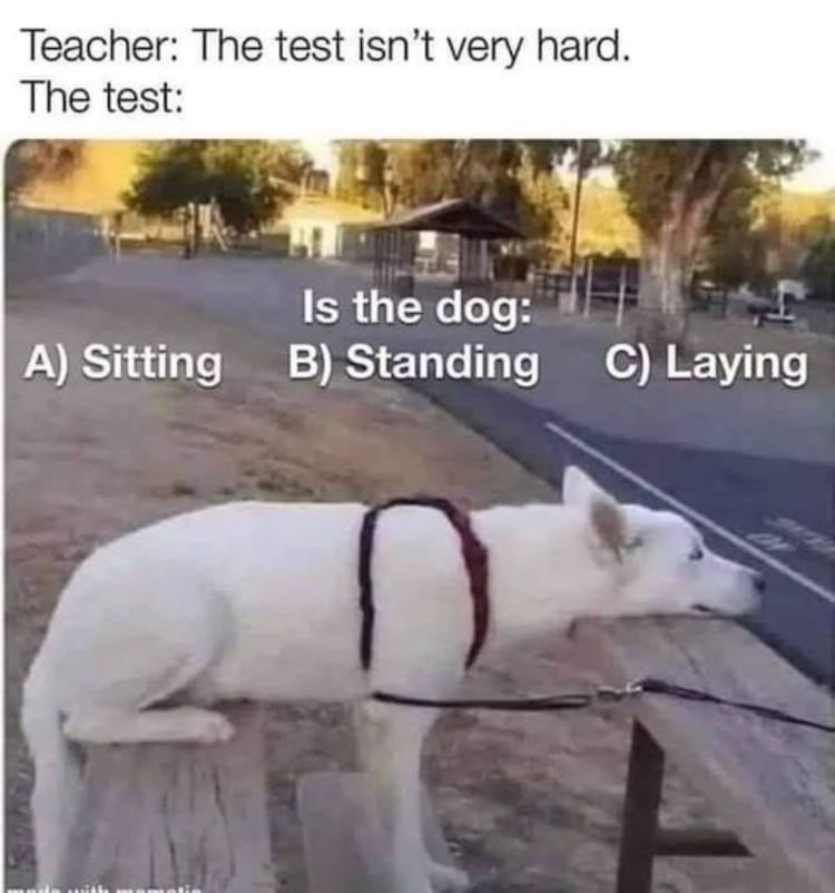87496140.jpg