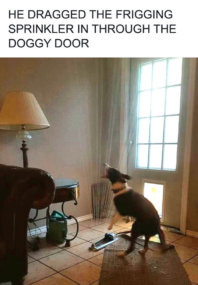 87499194.jpg