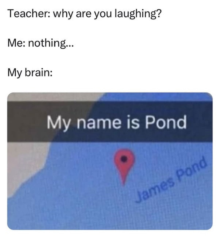 87499932.jpg