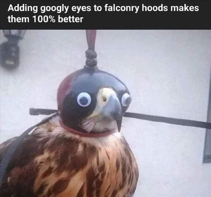 87517325.jpg