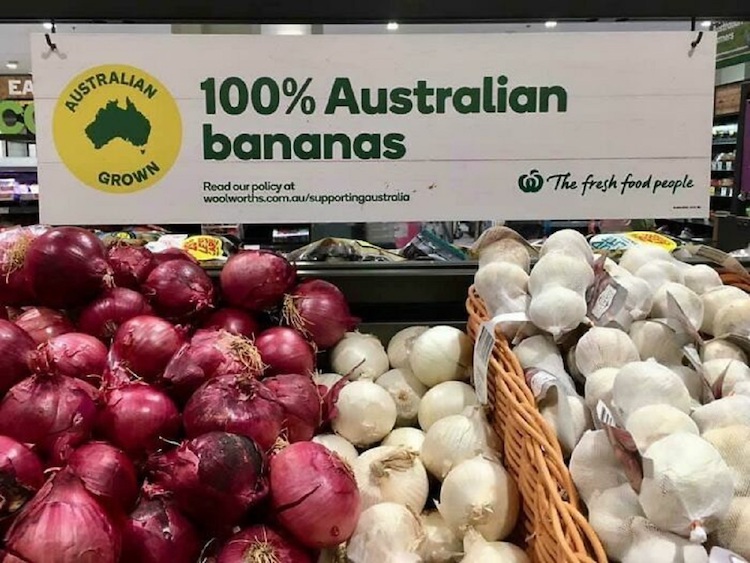 87540512.jpg