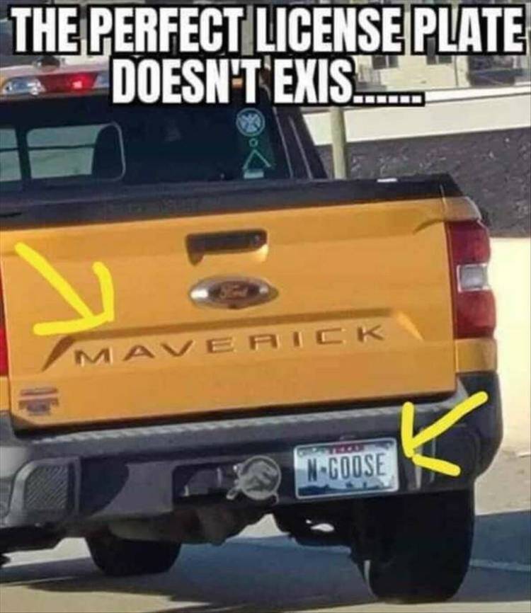 87546863.jpg