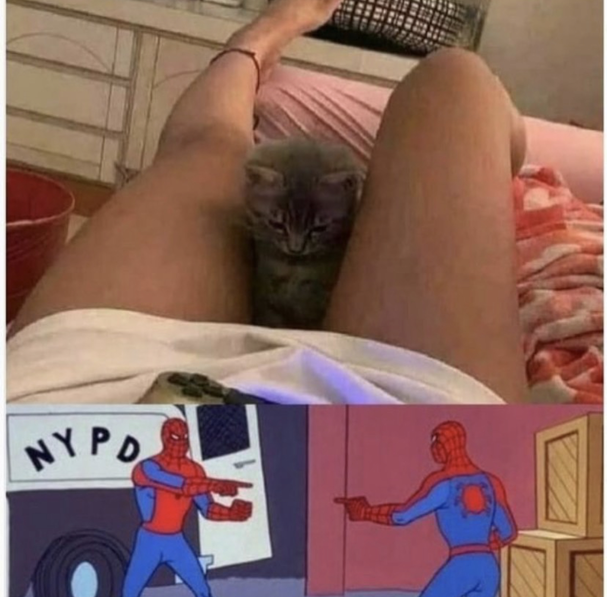 88DED604-B14E-4666-8A72-3E99E0C1EEE7.jpeg