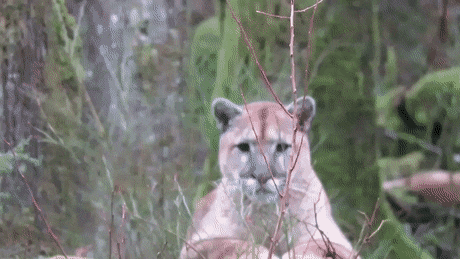 8910170C-8EB2-45C8-8707-80E0F6F678CD.gif