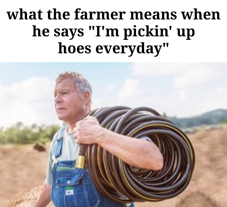 892-3139143644.jpeg