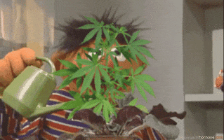 898514A2-4284-465F-8FD5-FCCA76974A73.gif
