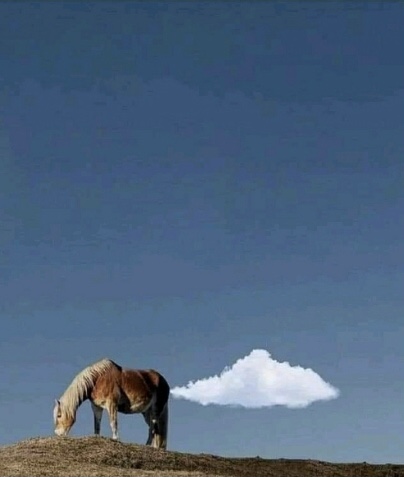 89887053-36D1-47B1-98A3-B210B6CA4377.jpeg