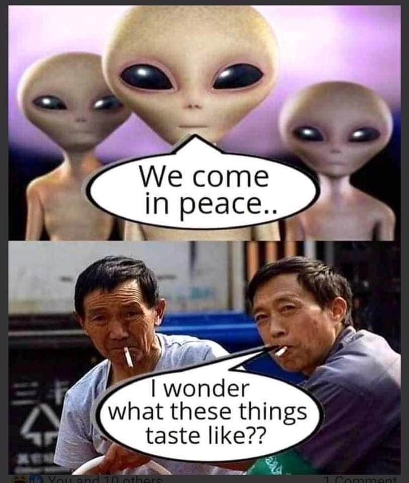 89EA07B9-3CA5-48D0-9973-C29E4C2E6366.jpeg