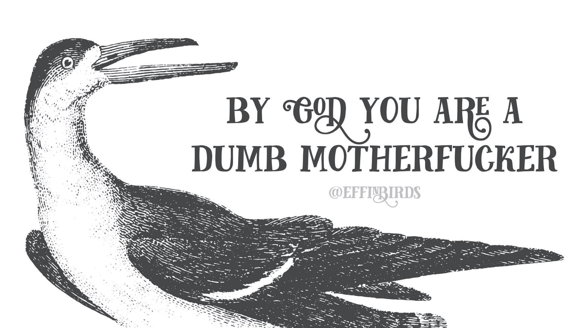 8A10D7CE-B0DC-4B0E-8136-5D813F3F0F2A.jpeg
