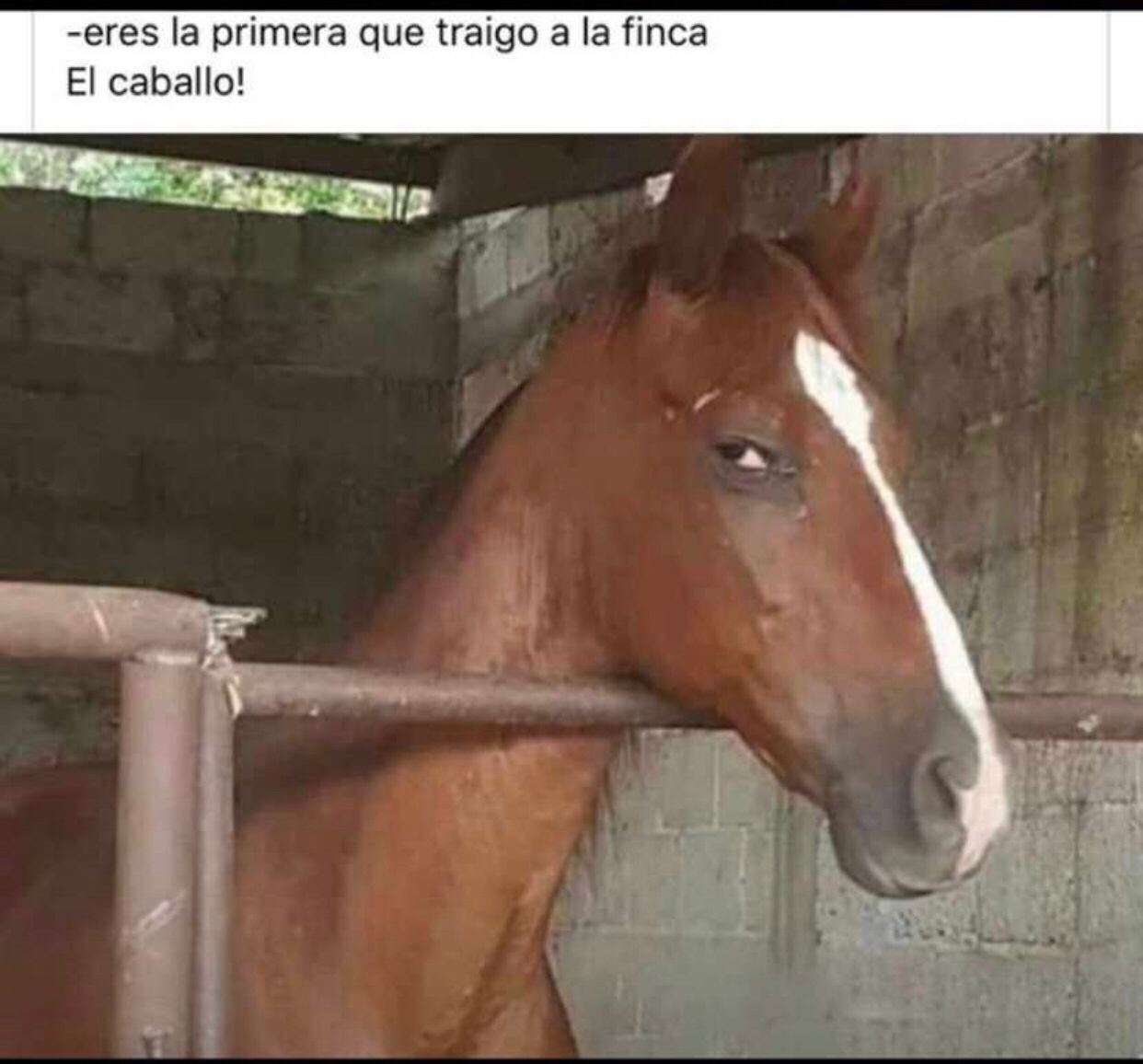 8ad49572-a08b-4c9a-a3d5-ede3d795530c.jpeg