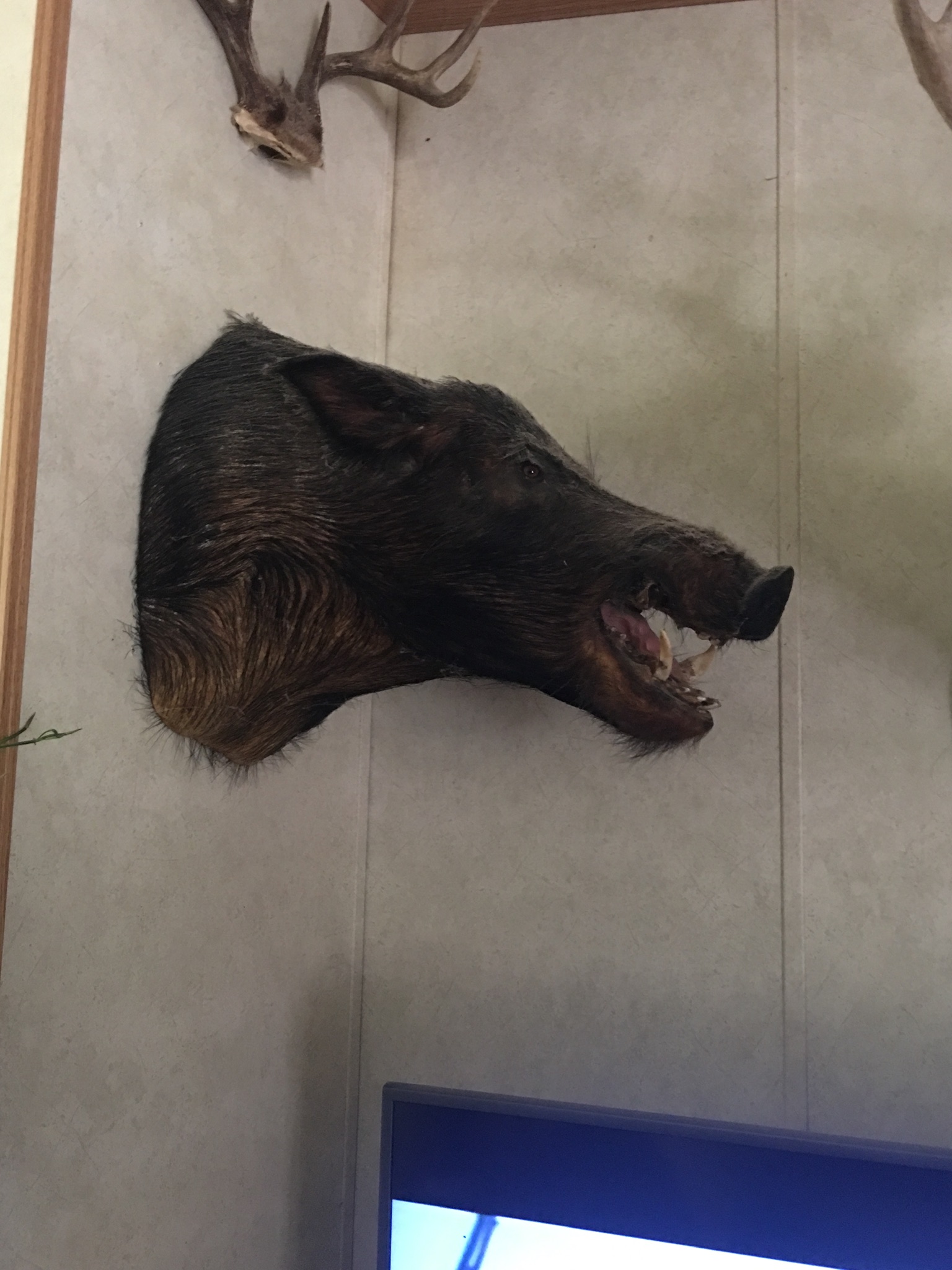 8CAA0D5E-8035-4F08-920F-85D5CA5ED17D.jpeg