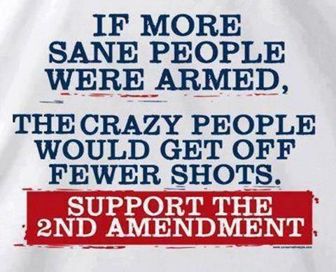 8cdb0aa89cc2c7a12206258c8fddbd43--firearms-gun-rights.jpg