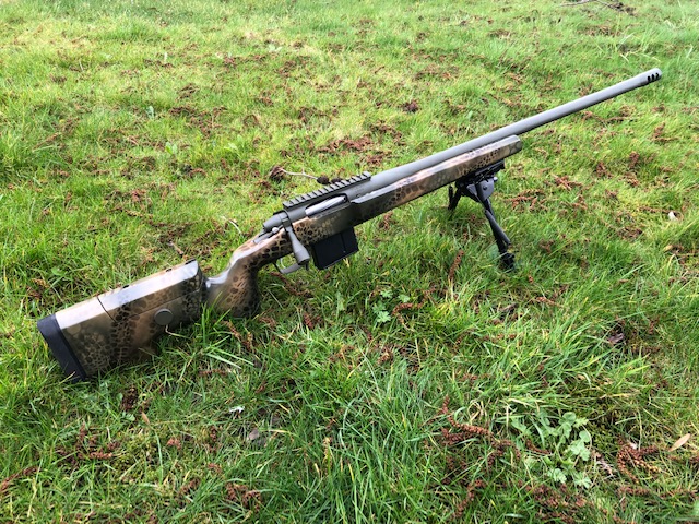 8CF83Fs.jpg