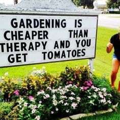 8d476ec77ebf6f7b59963979e4598fae--grow-tomatoes-gardening-quotes.jpg