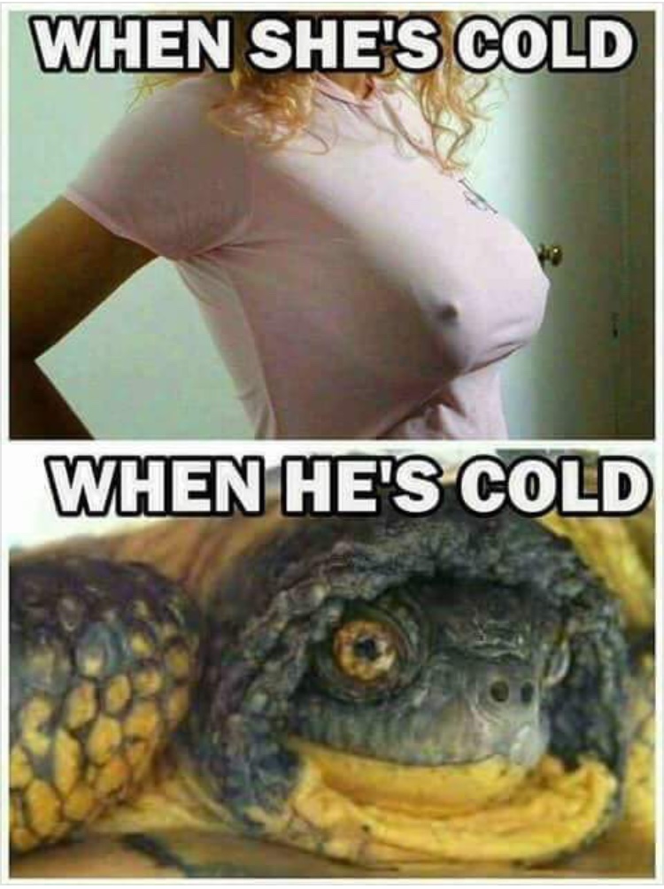 8E7A1313-22B8-449C-ACA1-6AC4B7B6091A.jpeg
