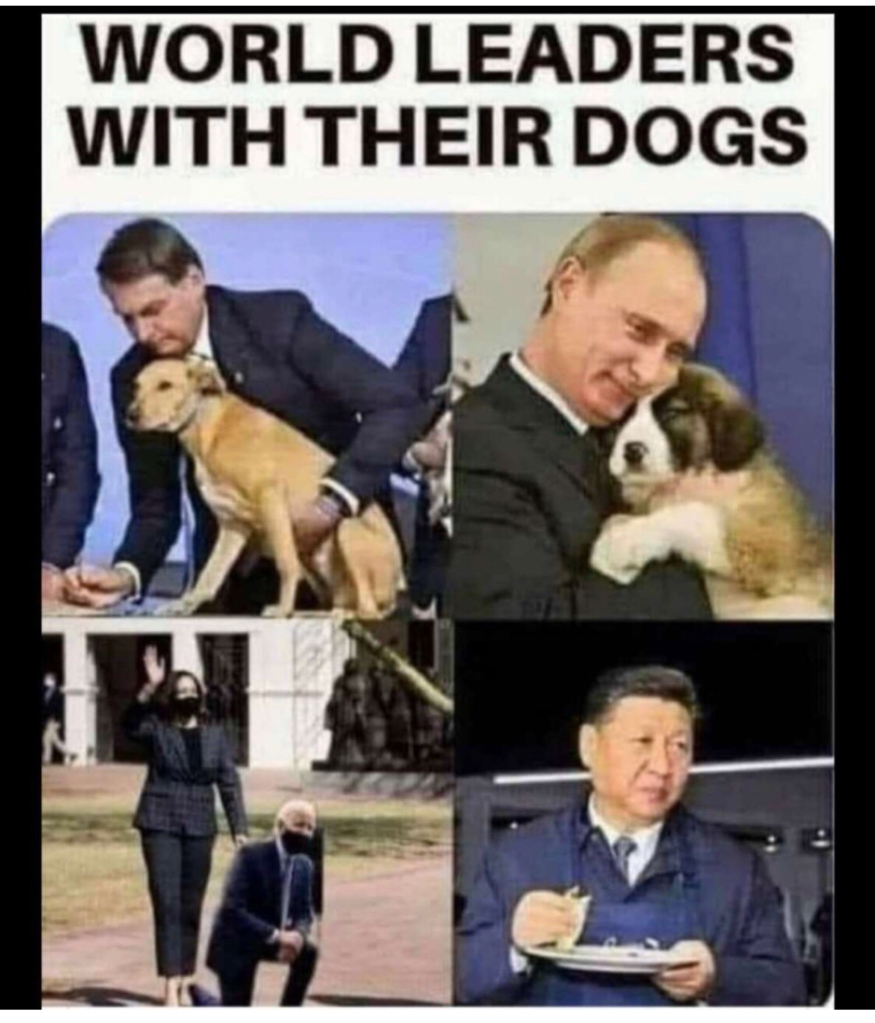 8EE47F3F-A0FC-4CBF-9892-6762AF415D8C.jpeg
